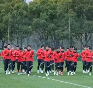 九游AG在线官网-上海海港队武磊